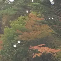 日本ロマンチック街道の写真・動画_image_161929