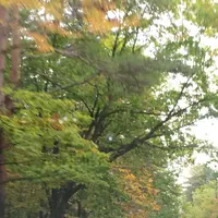 日本ロマンチック街道の写真・動画_image_161930