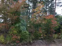 日本ロマンチック街道の写真・動画_image_161932