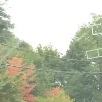 草津白根山の写真・動画_image_161941