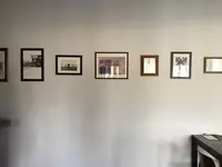 flamingoの写真・動画_image_161960