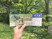 大館・小坂鉄道レールバイク（ＮＰＯ法人）の写真・動画_image_161966