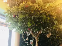 Uki-Ukiの写真・動画_image_161985