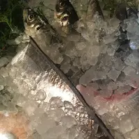 ふね炉ばた焼の写真・動画_image_162032