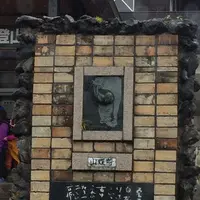 草津白根山の写真・動画_image_162041