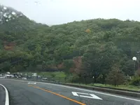草津白根山の写真・動画_image_162046