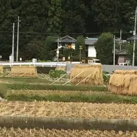 草津白根山の写真・動画_image_162058