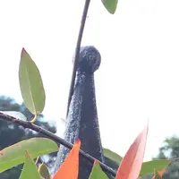 寄居星の王子さまPAの写真・動画_image_162089