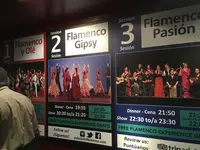 Palau del Flamencの写真・動画_image_162110