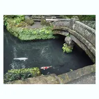 浄智寺の写真・動画_image_162219