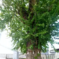 起堤町174−1の写真・動画_image_162238