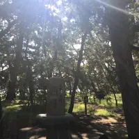 天橋立の写真・動画_image_162274