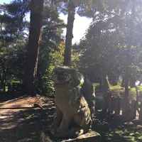 天橋立神社の写真・動画_image_162280