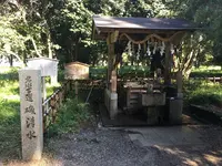 天橋立神社の写真・動画_image_162281