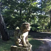 天橋立神社の写真・動画_image_162282