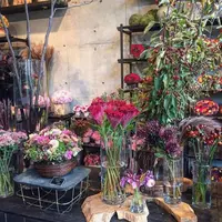 ニコライバーグマン ノム（Nicolai Bergmann NOMU ）の写真・動画_image_162322