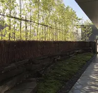 茶洒 金田中の写真・動画_image_162356