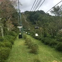 天橋立ケーブルカーの写真・動画_image_162443