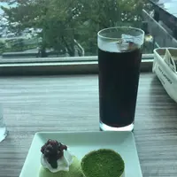 傘松公園の写真・動画_image_162445