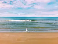 千里浜なぎさドライブウェイの写真・動画_image_162483