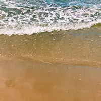 千里浜なぎさドライブウェイの写真・動画_image_162485