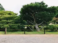 兼六園の写真・動画_image_162495