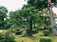 兼六園の写真・動画_image_162499