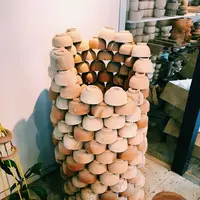 mokumeの写真・動画_image_162501