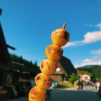 白川郷の写真・動画_image_162503