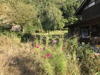 白川郷の写真・動画_image_162509