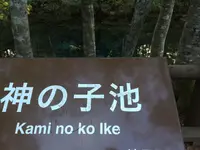 神の子池の写真・動画_image_162702
