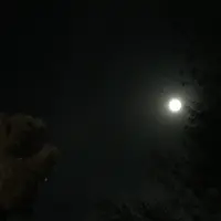 ロッジ 風景画の写真・動画_image_162710