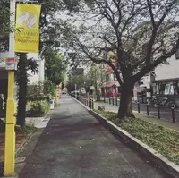 九品仏川緑道 / グリーンストリートの写真・動画_image_162860