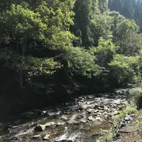 篭坊温泉の写真・動画_image_162942