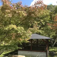 篭坊温泉の写真・動画_image_162943