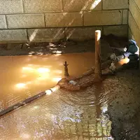 篭坊温泉の写真・動画_image_162944