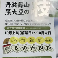 八上上の写真・動画_image_162957