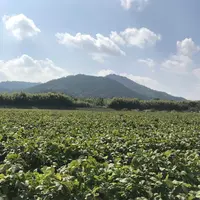 八上上の写真・動画_image_162959