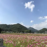 三田市の写真・動画_image_162966