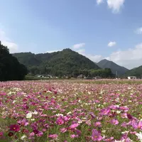 三田市の写真・動画_image_162967