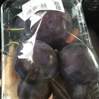 メルヘンの丘の写真・動画_image_163138