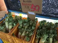 メルヘンの丘の写真・動画_image_163140