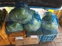 メルヘンの丘の写真・動画_image_163141
