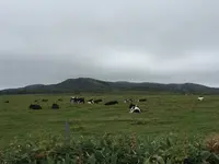 能取岬海岸の写真・動画_image_163204