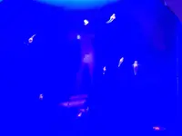 オホーツク流氷館の写真・動画_image_163210