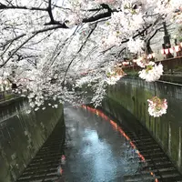目黒天空庭園の写真・動画_image_163294