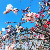 目黒天空庭園の写真・動画_image_163300