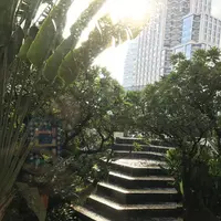 デュシタニ バンコクの写真・動画_image_163424