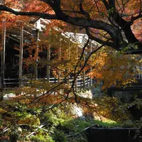 途中の川沿いの道の写真・動画_image_163432