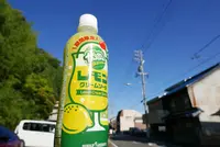 謎の自販機に挑戦の写真・動画_image_163474